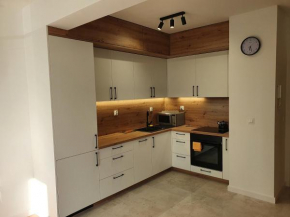 Apartament Rocha przy PKP i PKS - parking podziemny